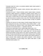 Referāts 'Valoda partiju priekšvēlēšanu programmās, publikācijās un intervijās', 9.