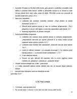 Referāts 'Valoda partiju priekšvēlēšanu programmās, publikācijās un intervijās', 23.