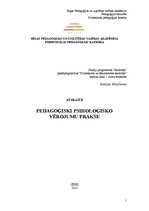 Prakses atskaite 'Prakses atskaite', 1.