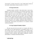 Biznesa plāns 'Video un audio noma', 7.