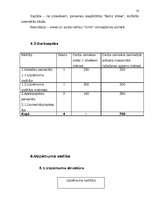 Biznesa plāns 'Video un audio noma', 10.