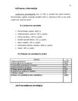 Biznesa plāns 'Video un audio noma', 14.