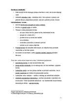 Referāts 'Brīvības un vienlīdzības konflikts politikas filosofijas vēsturē', 7.