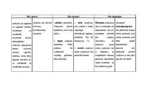 Referāts 'Anketēšana: pazīmes, prasības, sastādīšana', 1.