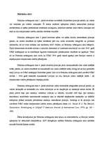 Referāts 'Abrenes (Pitalovas) teritorijas piederības starptautiski tiesiskā analīze', 15.