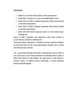 Referāts 'Abrenes (Pitalovas) teritorijas piederības starptautiski tiesiskā analīze', 17.