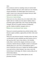 Referāts 'Meža, purva biocenoze', 4.