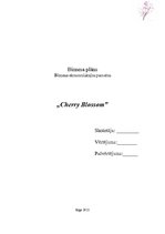 Biznesa plāns 'Interjera dizaina firma "Cherry Blossom"', 1.