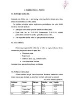 Biznesa plāns 'Interjera dizaina firma "Cherry Blossom"', 6.