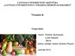 Prezentācija 'Vitamīns K', 1.