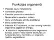 Prezentācija 'Vitamīns K', 6.