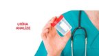 Prezentācija 'Urīna analīze', 2.