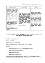 Prakses atskaite 'Prakse pirmsskolā', 17.