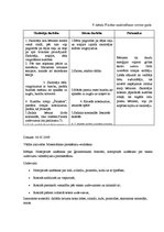 Prakses atskaite 'Prakse pirmsskolā', 18.