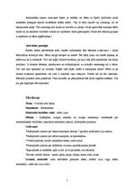 Prakses atskaite 'Integrētā mācību prakse pirmsskolā', 5.