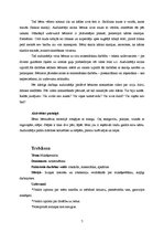 Prakses atskaite 'Integrētā mācību prakse pirmsskolā', 7.