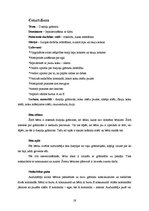 Prakses atskaite 'Integrētā mācību prakse pirmsskolā', 19.