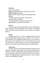 Prakses atskaite 'Integrētā mācību prakse pirmsskolā', 21.