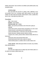 Prakses atskaite 'Integrētā mācību prakse pirmsskolā', 29.