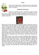 Konspekts 'Zemenes - šķirnes un kaitēkļi', 2.