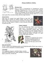 Konspekts 'Zemenes - šķirnes un kaitēkļi', 5.