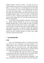 Eseja 'Ē.M.Remarka romāna "Mājupceļš" analīze', 3.