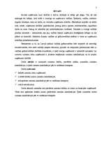 Referāts 'Izmaksu klasifikācijas nozīme uzņēmējdarbībā pēc to vadīšanas līmeņiem', 3.