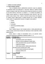 Referāts 'Izmaksu klasifikācijas nozīme uzņēmējdarbībā pēc to vadīšanas līmeņiem', 4.