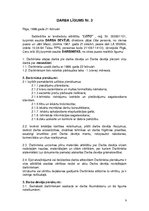 Paraugs 'Sabiedrības ar ierobežotu atbildību "Loto" darba līgumu pakete', 9.