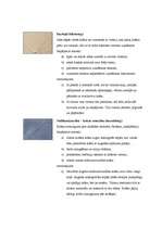 Konspekts 'Laku un krāsu pārklājumu defekti un to novēršana', 2.