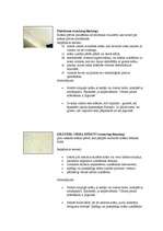 Konspekts 'Laku un krāsu pārklājumu defekti un to novēršana', 3.