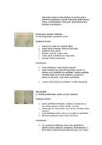 Konspekts 'Laku un krāsu pārklājumu defekti un to novēršana', 4.