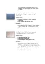 Konspekts 'Laku un krāsu pārklājumu defekti un to novēršana', 7.