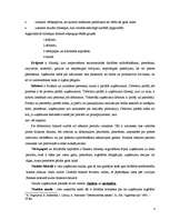 Konspekts 'Bilances aktīva kontu novērtējums un kalkulācija', 4.