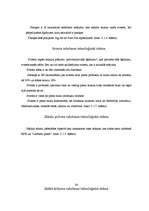 Prakses atskaite 'Ražošanas prakse uzņēmumā "Rīgas piena kombināts"', 21.