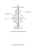 Prakses atskaite 'Ražošanas prakse uzņēmumā "Rīgas piena kombināts"', 22.