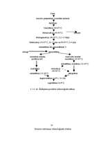 Prakses atskaite 'Ražošanas prakse uzņēmumā "Rīgas piena kombināts"', 25.