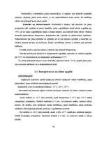 Prakses atskaite 'Ražošanas prakse uzņēmumā "Rīgas piena kombināts"', 39.