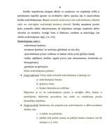 Referāts 'Kredītriska novērtēšana un pārvaldīšana komercbankās', 26.