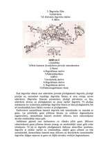 Konspekts 'Automašīnas "Volkswagen Golf" benzīnmotoru barošanas sistēmas sastāvdaļas', 2.