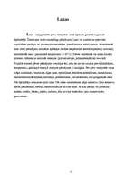 Referāts 'Lakas un līmes', 8.