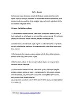 Referāts 'Darba līgumu izbeigšana pēc darbinieka uzteikuma', 2.