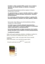 Referāts 'Augsnes veidošanās', 4.