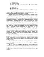 Prakses atskaite 'Pedagoģiskā prakse - I', 10.