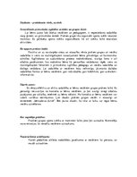 Prakses atskaite 'Pedagoģiskā prakse - I', 37.