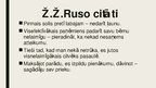 Prezentācija 'Žans Žaks Ruso', 12.