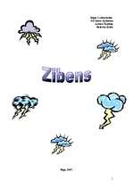 Referāts 'Zibens', 1.