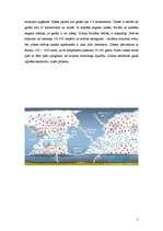 Referāts 'Zibens', 5.