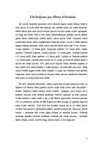 Referāts 'Zibens', 7.