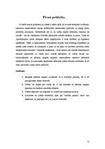 Referāts 'Zibens', 12.